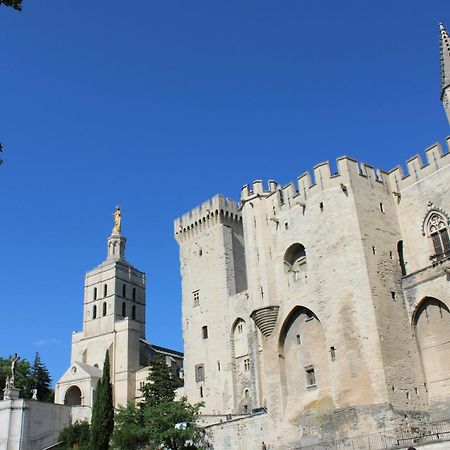 Le Petit Avignon - Chambres & Appartement A Deux Pas Du Pont D'Avignon Et Du Palais Des Papes Bagian luar foto