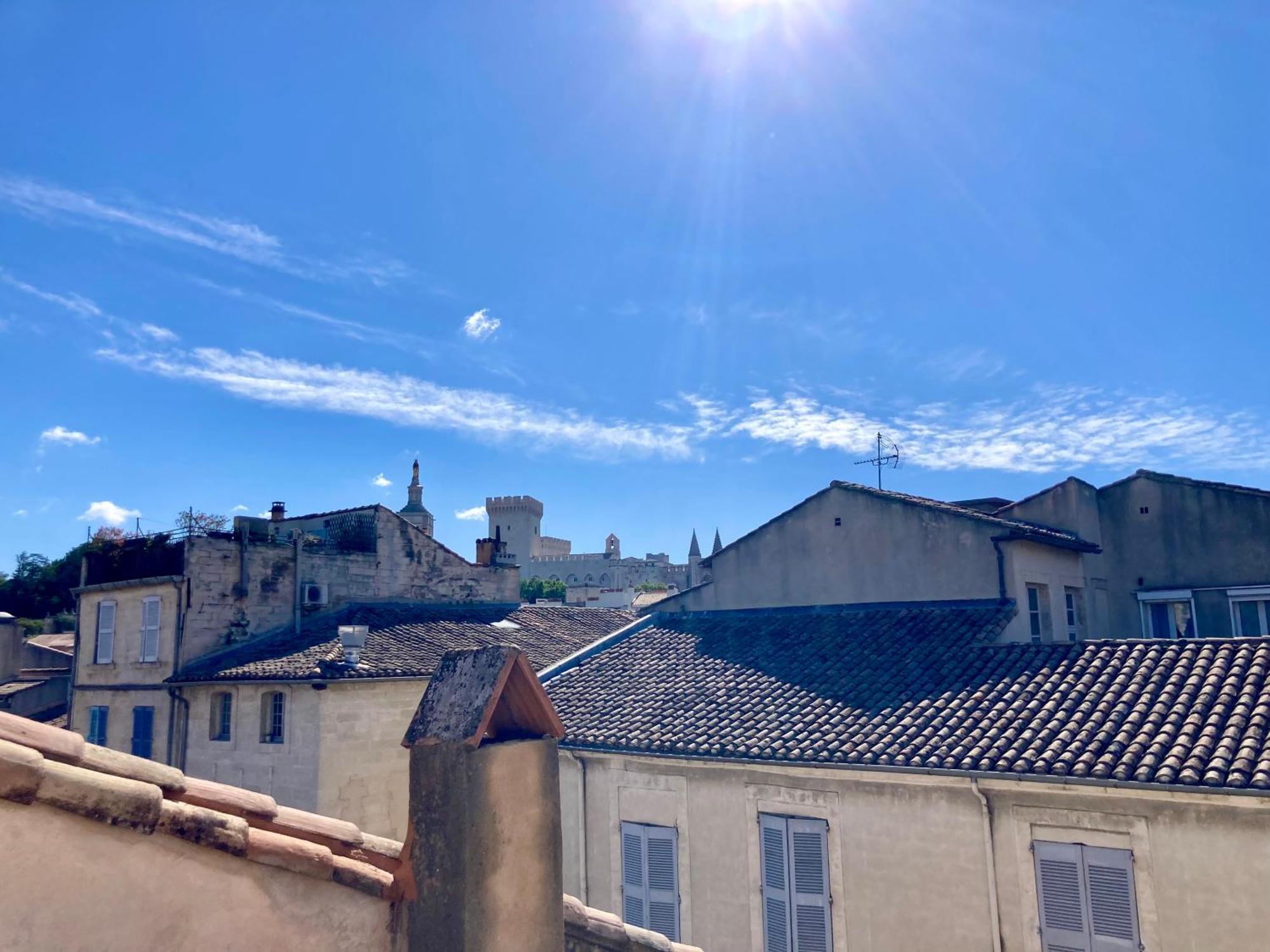 Le Petit Avignon - Chambres & Appartement A Deux Pas Du Pont D'Avignon Et Du Palais Des Papes Ruang foto